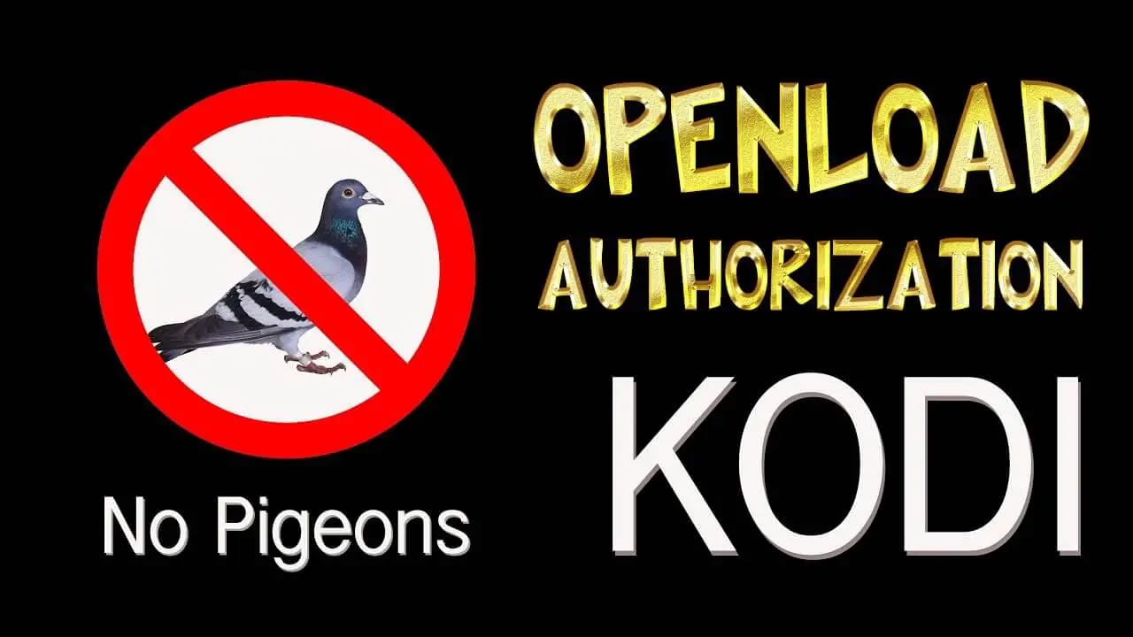 How to Fix Openload and Thevideo.me Stream Authorization Errors Kodi 17.6 Krypton